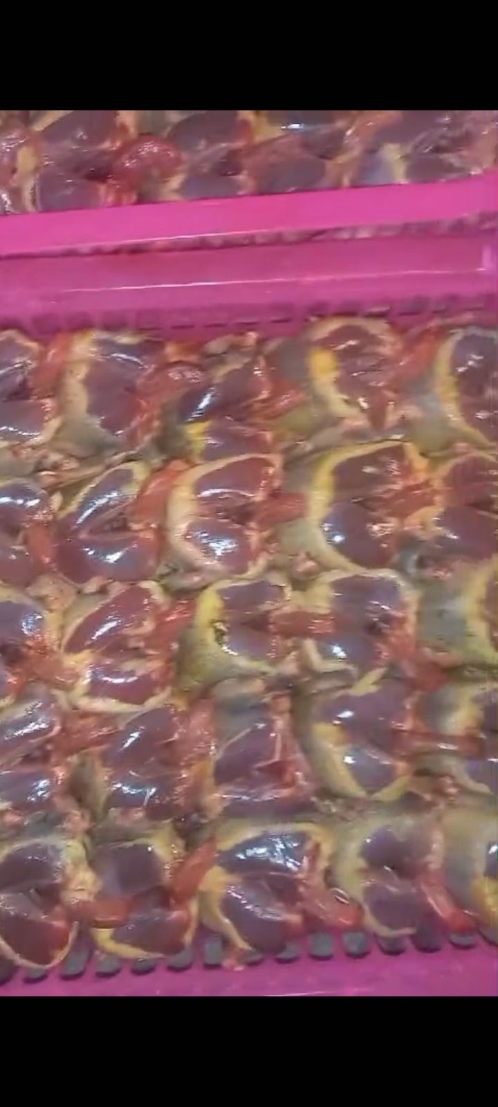 Мяасо диких голубеи