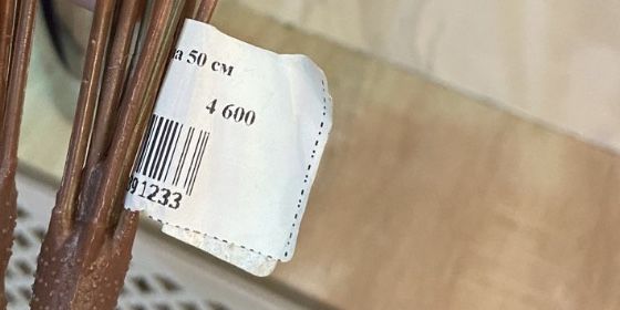 Продам цветы новые срочно