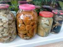 Грибы маринованные