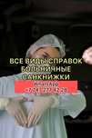 Кактус в горшочке/справка санкнижка