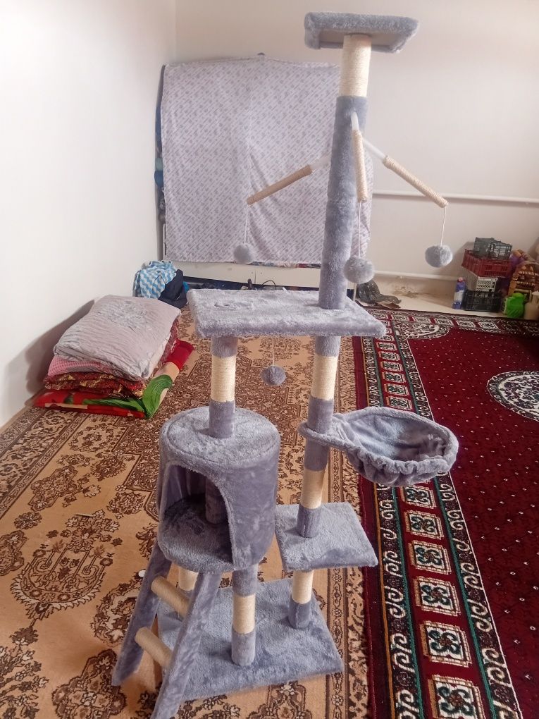 Мысықтың үйшігі.Домик для кошки..