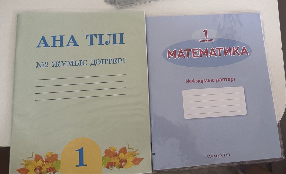Ана тілі,математика 1-сынып (жұмыс дәптерлер)