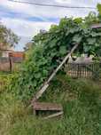 Продам дачу  КОЛОС.