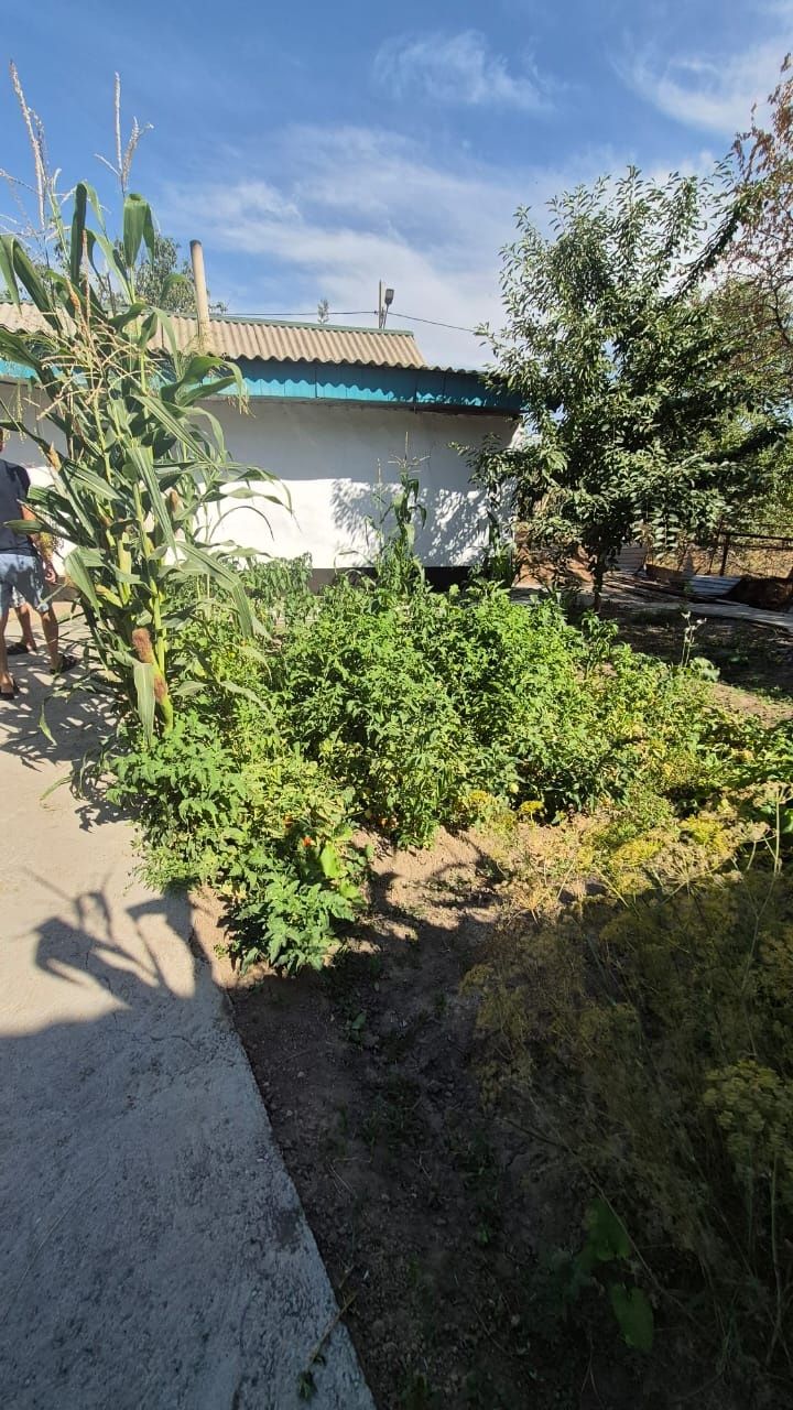 Продам дом на Дача кайнар булак