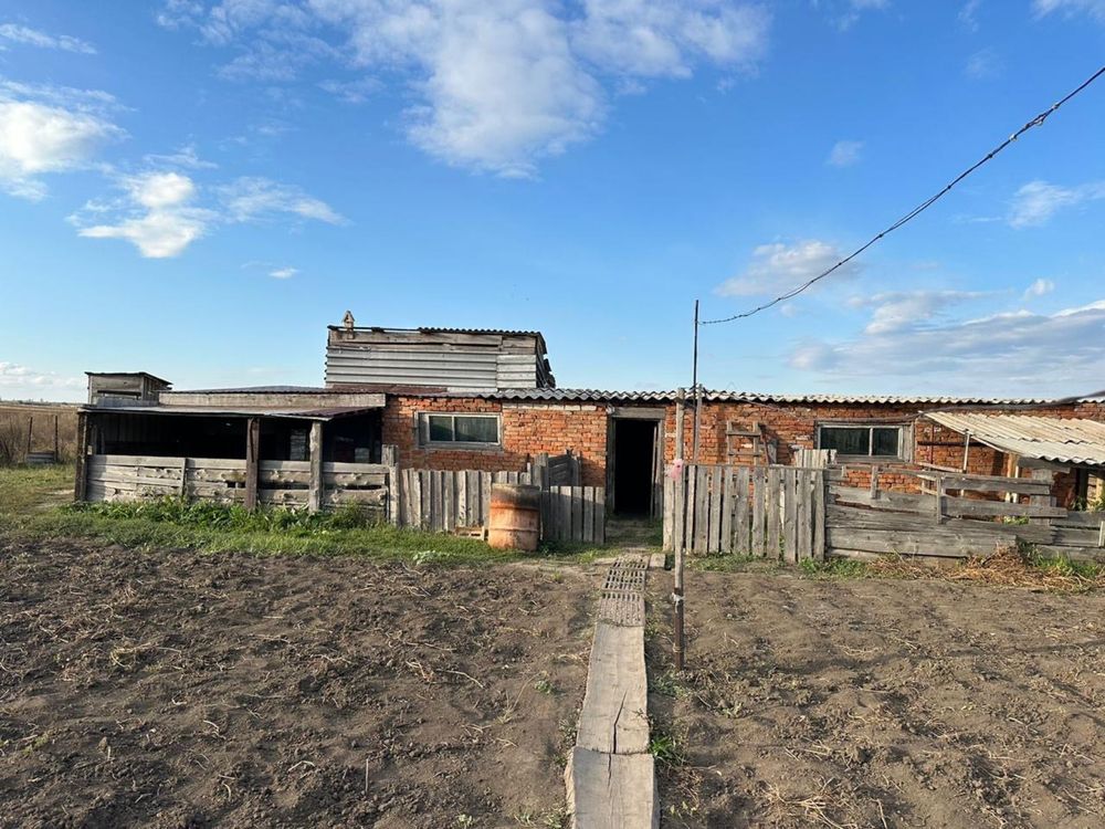 Продам дом в с Макеевка с гаржем, баней и участком