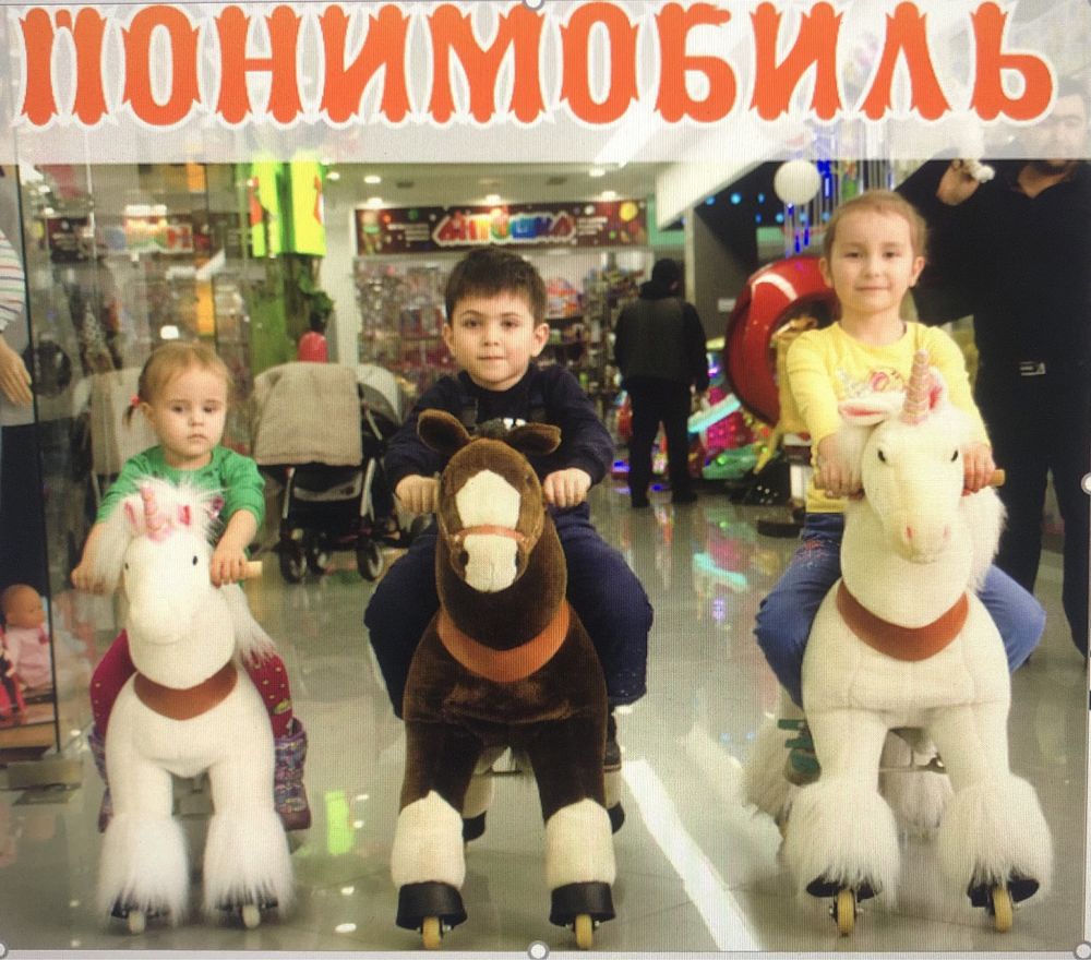 Поницикл