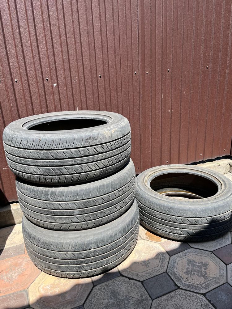 Шина Dunlop PT 24