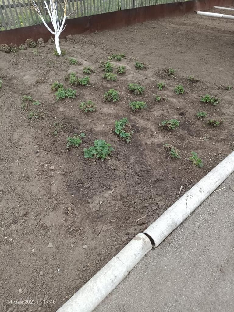 Продаем дачу в обществе Мичуринец