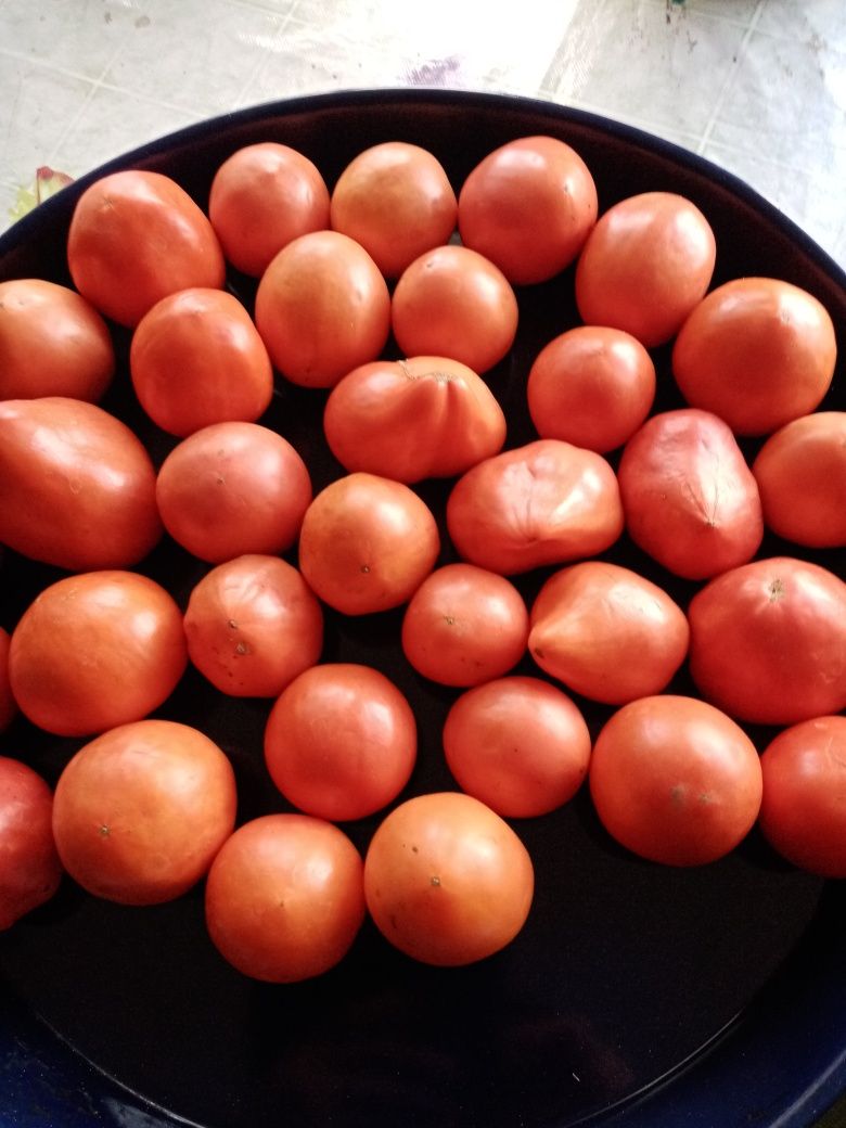 Продам рецептуры, раскладки на салаты, оливье, хе морковное, и т. д.