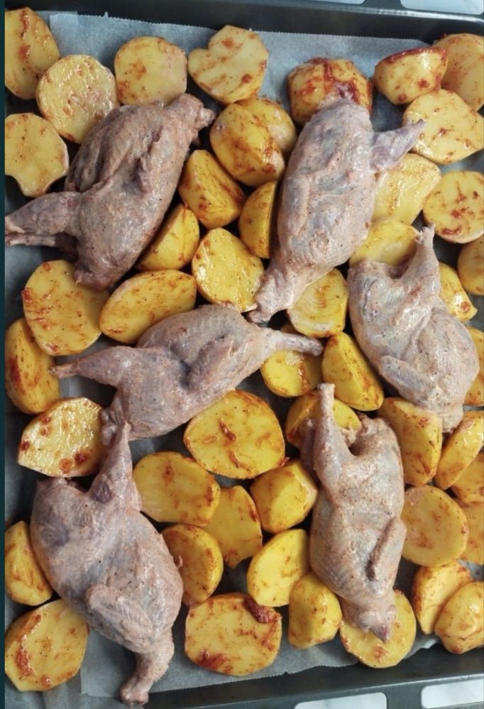 Мясо Перепелка! Бөдене еті