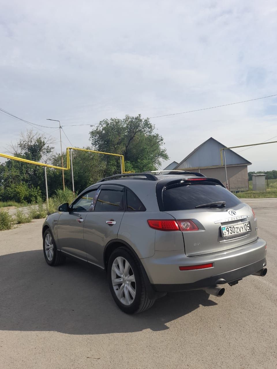 Продам живого "финика"