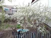 Продам дом гмз все условия есть