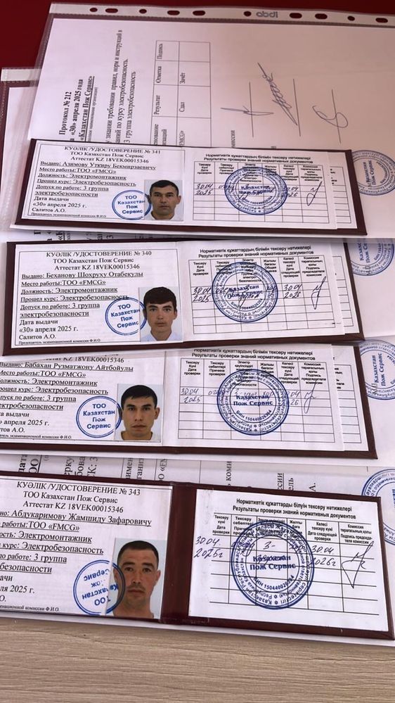 Порошковый огнетушитель