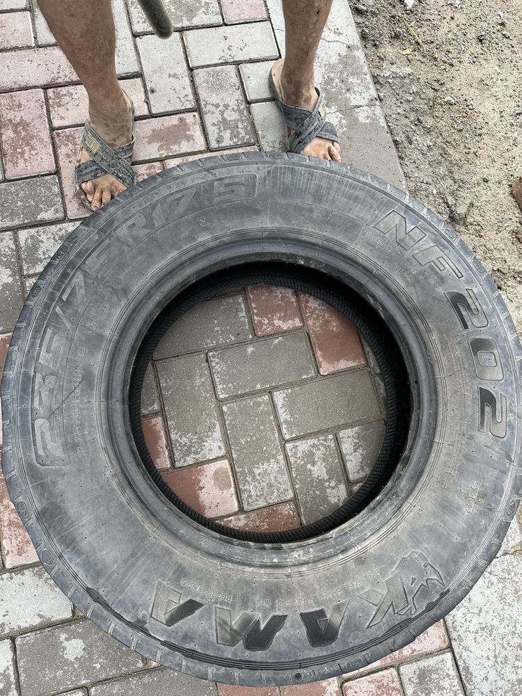 Автошины шины