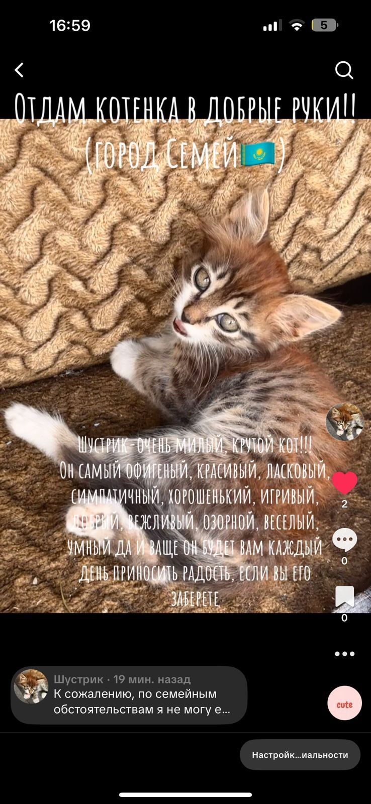 Отдам котёнка в хорошие руки.