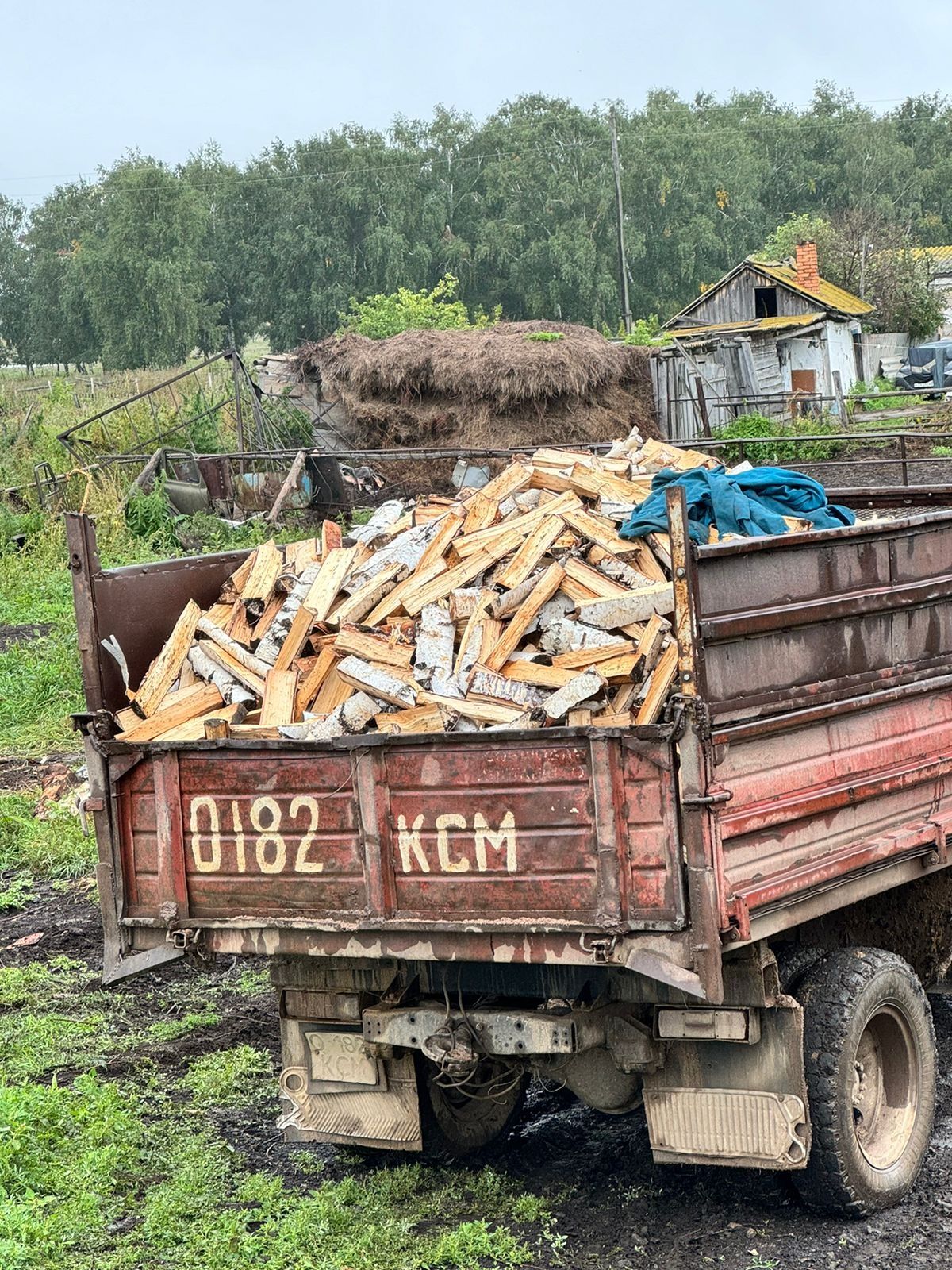 Дрова береза колотые