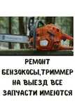 ремонт бензокосы,бензопилы выезд