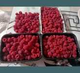 Продам домашнюю малину, крыжовник