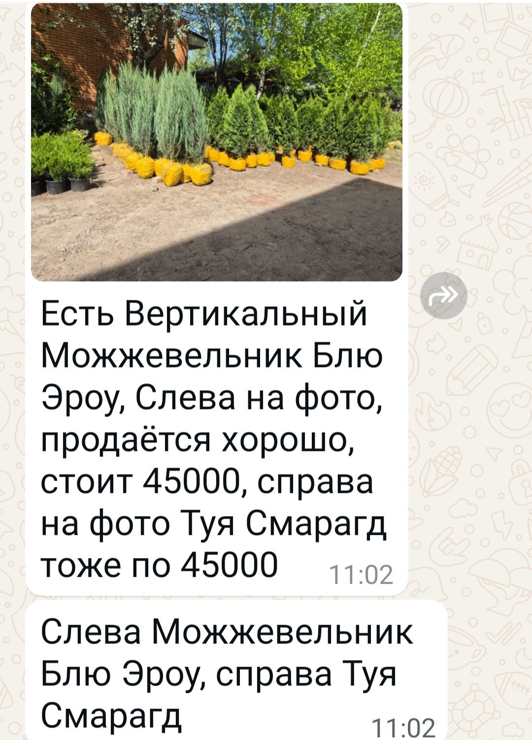 Продам хвойные и плодовые саженцы, кустарники, цветы