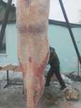Тай по частям 110тысяч