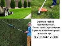 Стрижка живой изгороди, покос травы триммером