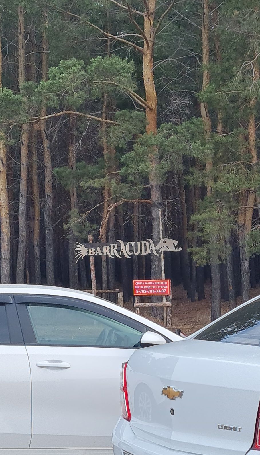 Земельный участок