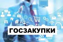Услуги эксперта по госзакупкам и тендерам (госзакупщик)