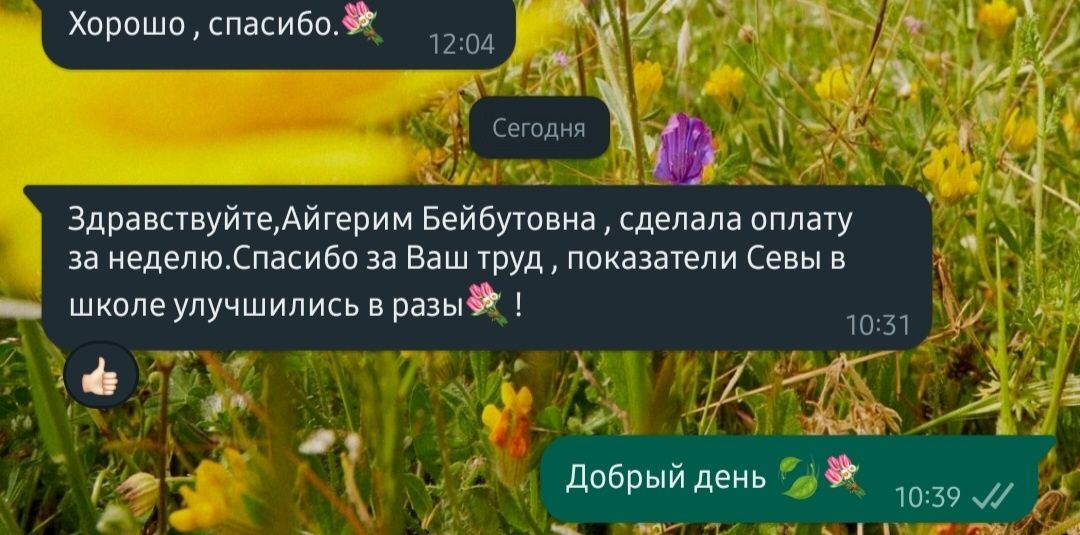 Репетитор Математики и Физики