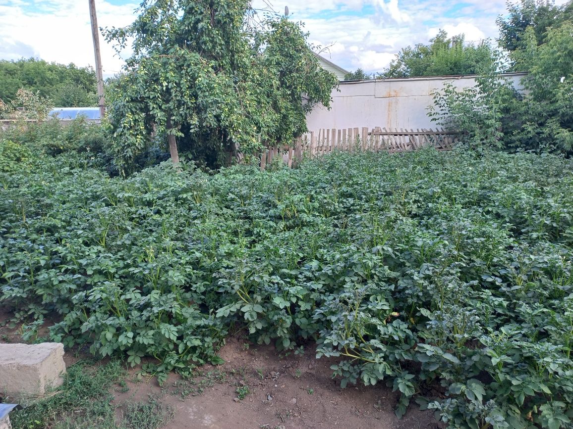 Продам благоустроенный дом 4 комнаты