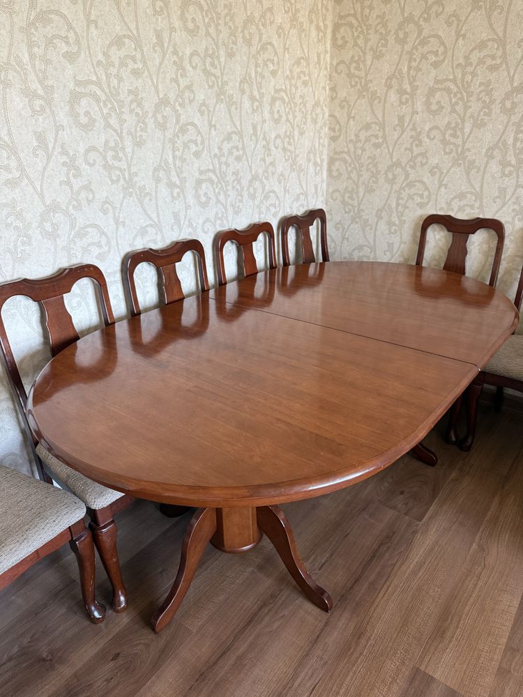 Продам гостевой стол 240х120см, + 10 стульев
