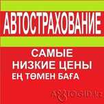 Страховка до 50%! Онлайн 24/7 | КазУчет, Транзит, РУС, АРМ