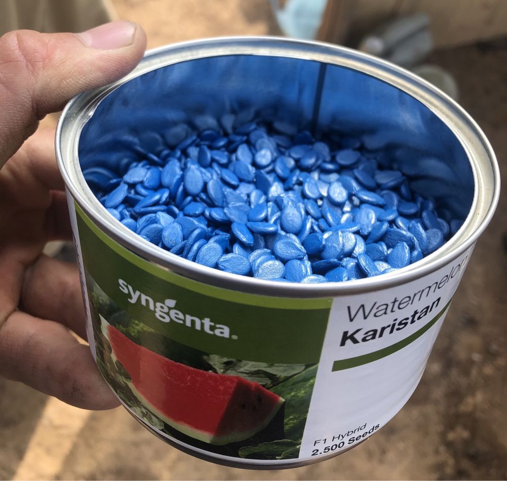 Семена арбуза Syngenta Karistan (Каристан)
