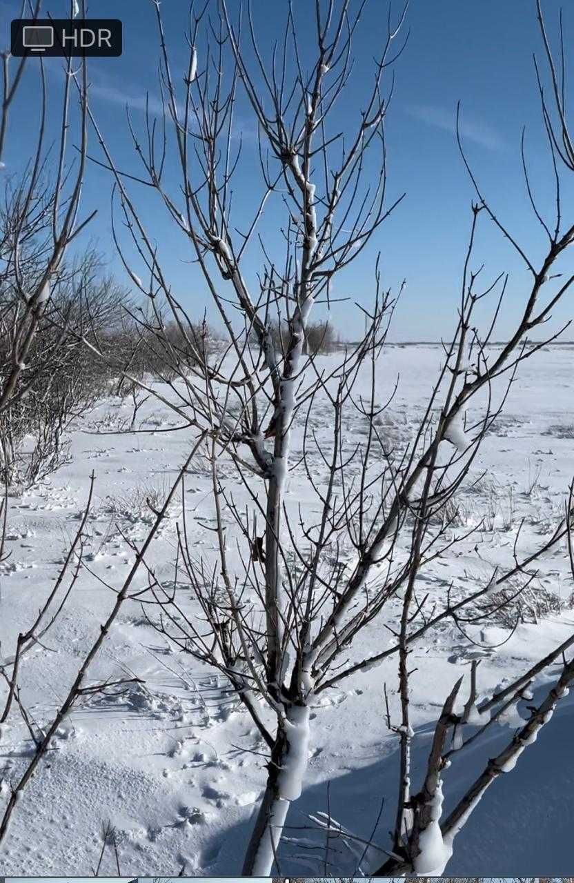 Цена снижена! Земля под бизнес в перспективном районе Акколь! Госакт!