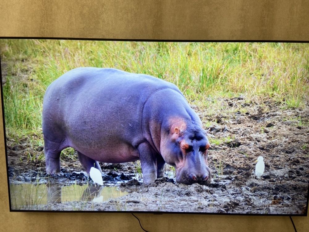 SMART Телевизор 55UP77 4К ULTRA HD  ред и в кредить