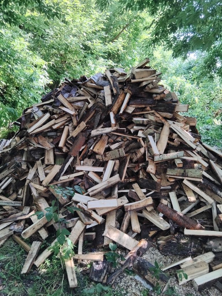 Продам  дрова  колотые  осина