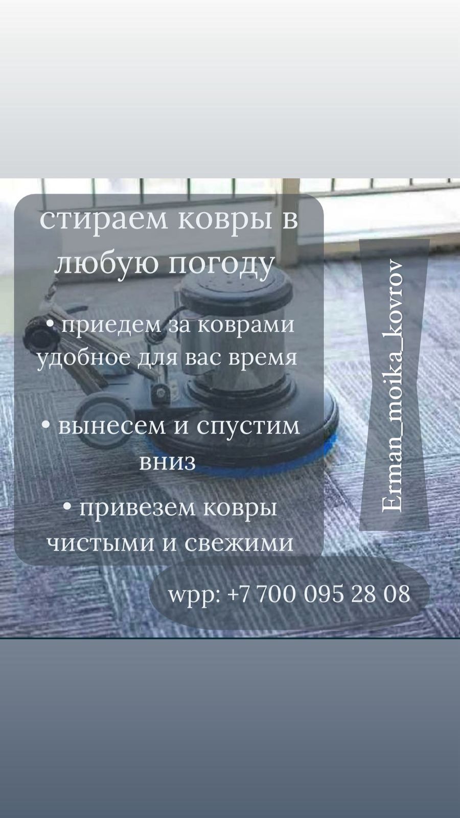 Профессиональная стирка от 500 АКЦИЯ АКЦИЯ