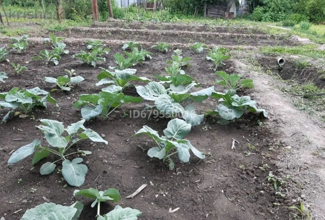 Срочно продам дом, тез арада үй сатылады 4 бөлмелі
