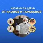Избавим от клопов и тараканов — низкие цены, быстро и безопасно