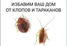Уничтожение клопов тараканов муравьёв комаров блох клещей