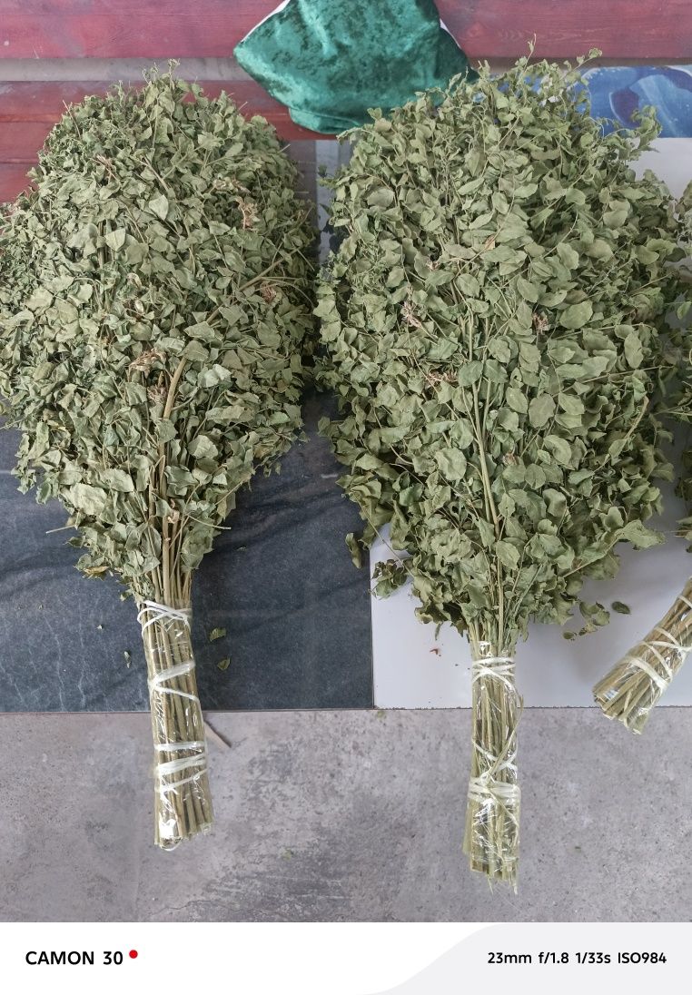 Веники для бани из солодки.