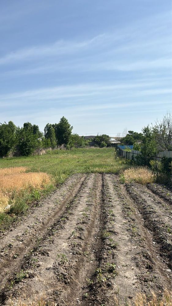 Уборка травы триммером