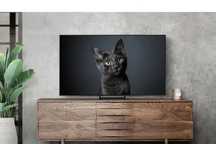 Телевизор Samsung Oled QE65S90CAUXCE