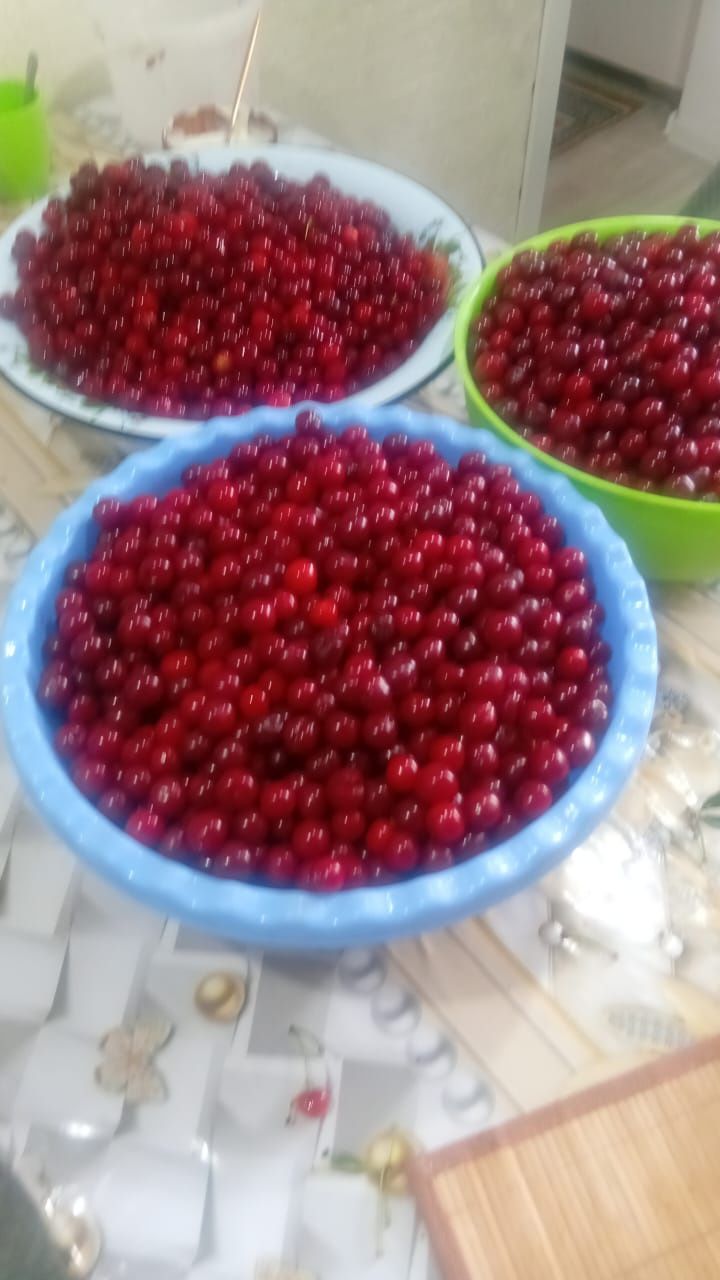 Продам вишню свежий домашний
