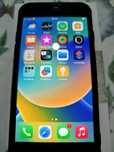 Iphone 8 с документами
