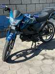 Alpha champ rs 15
