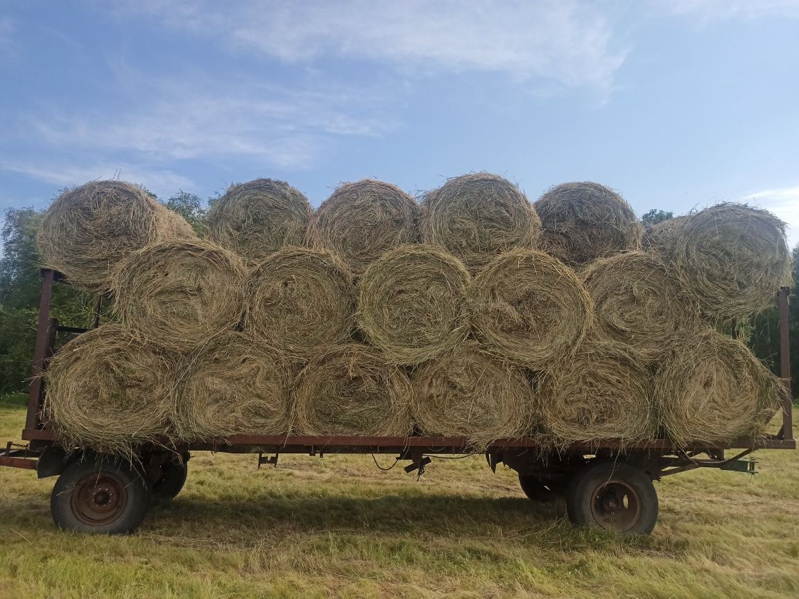 Продам сено лесное