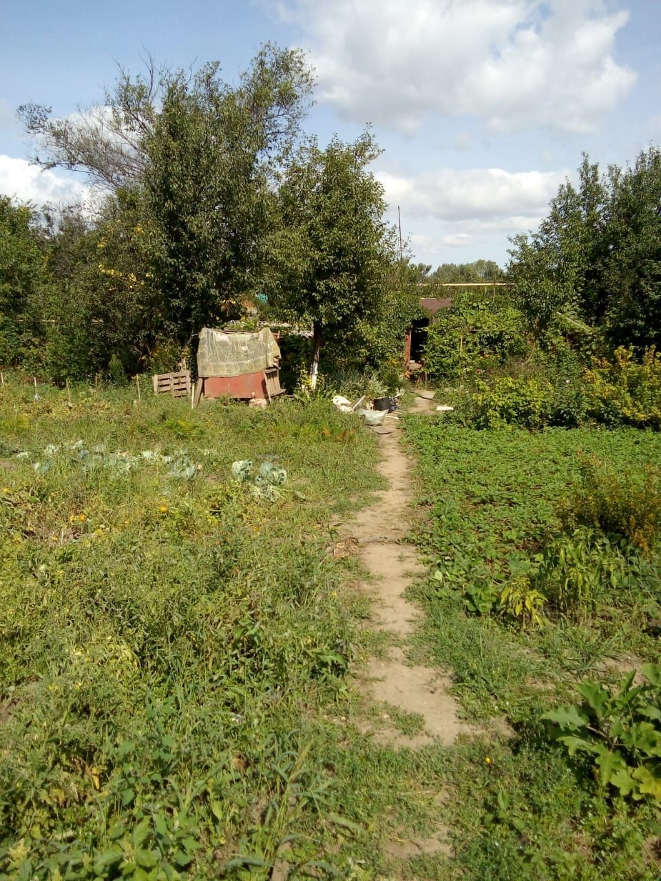 Продам дачу в с/к Гидрогеолог