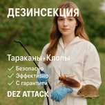 Уничтожение Тараканов Клопов Қандала Дезинсекция Дезинфекция