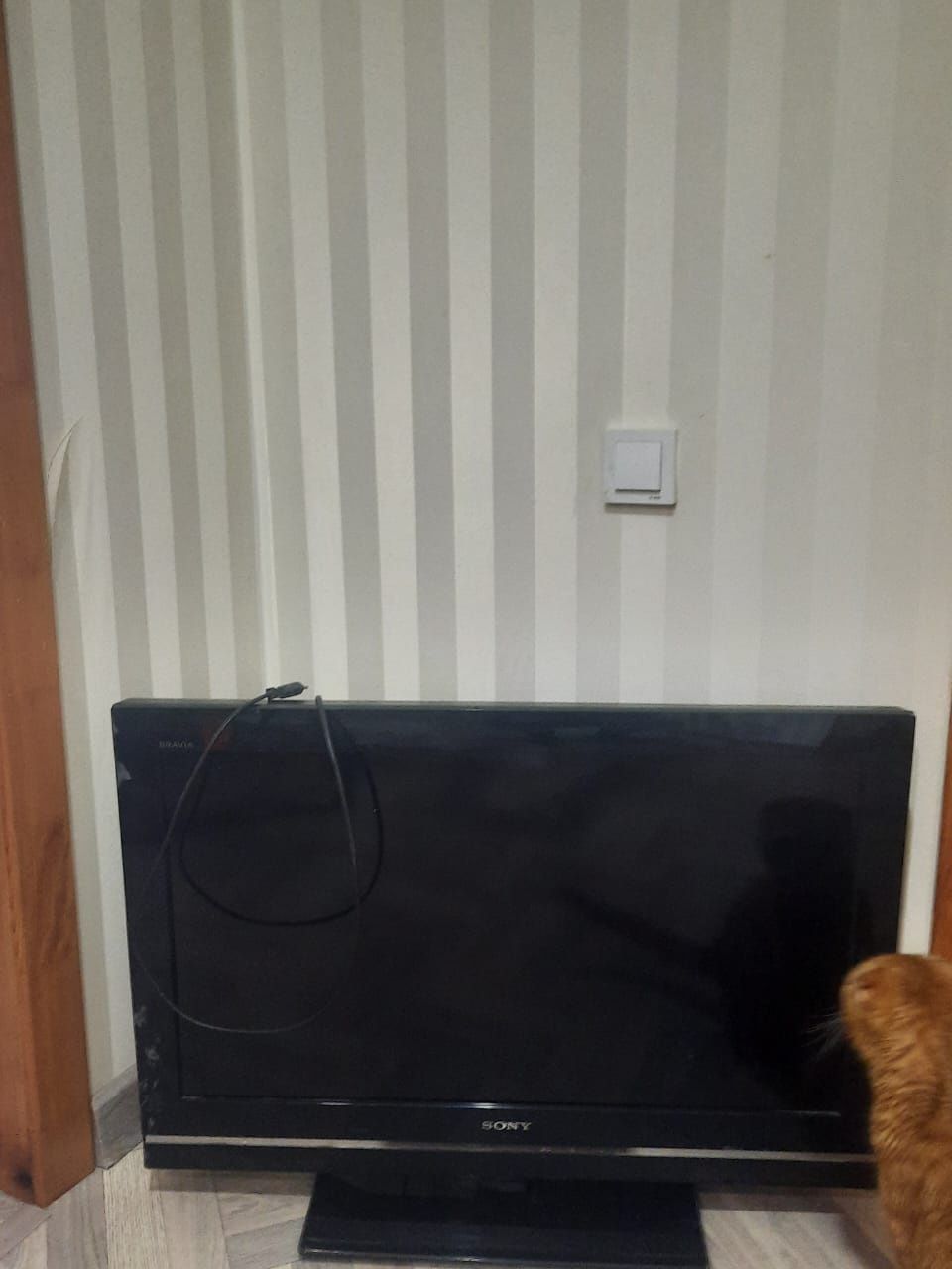 Телевизор     Sony