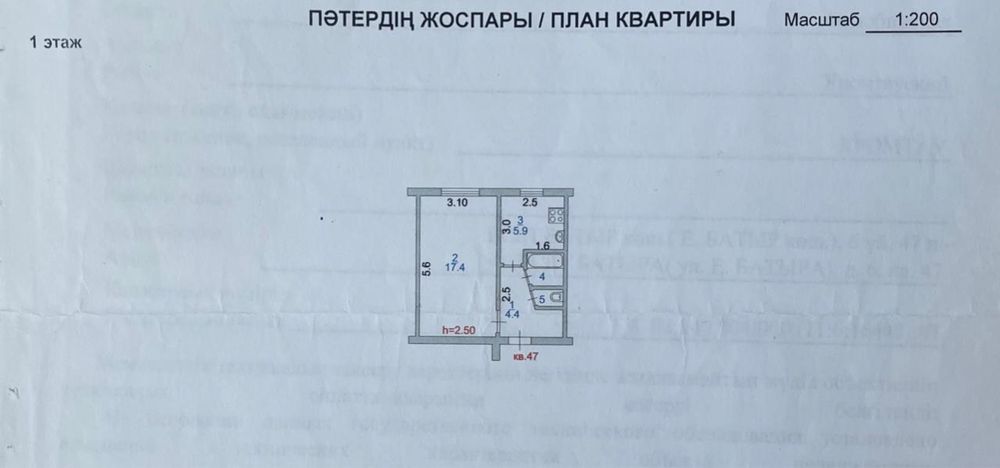 1-комнатная квартира